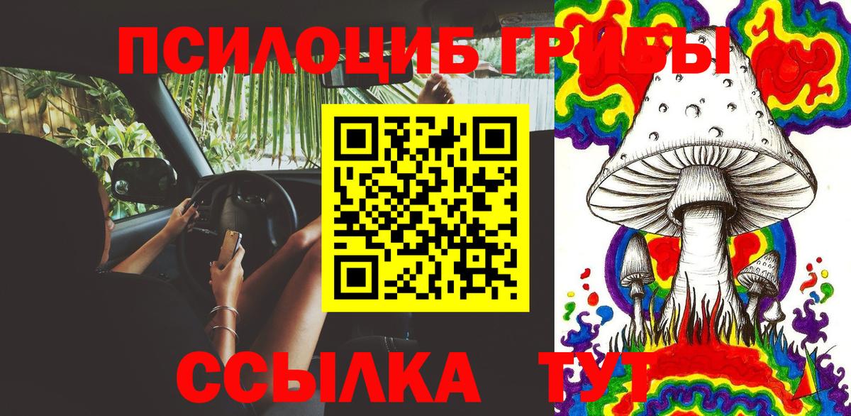 Новозыбков  Галлюциногенные грибы Psilocybine cubensis  Вход с VPN 