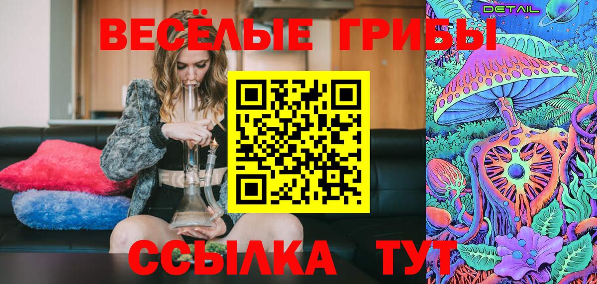 Псилоцибиновые грибы мицелий Новозыбков